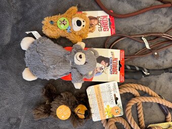 Voditka + hracka Kong - 4