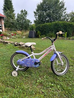 Detsky bicykel Harry Angel - 4
