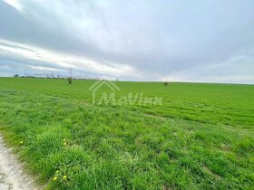 PREDAJ Pozemky 2000 m² Pravotice - 4