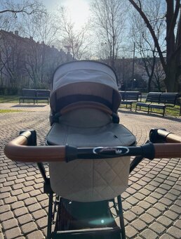 Hartan Viva GTR Buggy - 4