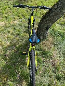 Bicykel Ctm Berry 2.0 - 4
