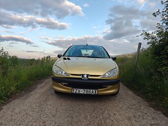 Peugeot 206 - 4