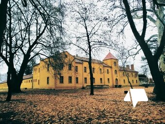 Predaj - Kaštieľ - Kravany nad Dunajom - 4