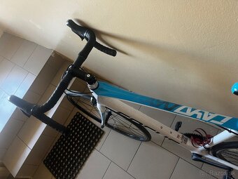 FOCUS Cayo XL - 4