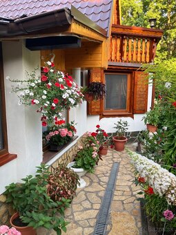 Celoročná chata na predaj v Jelenci - 4