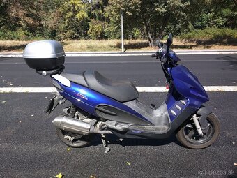 Predam MALAGUTI phantom max 200 piaggio - 4
