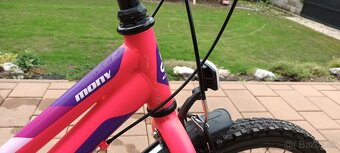 Bicykel - CTM Mony - 4