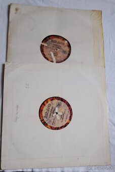 Žužuleta vinyl Kam ideme Prečo Platne - 4
