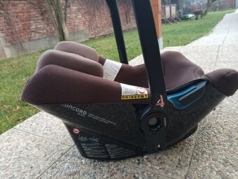 Concord Wanderer - 4