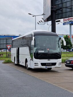 Man lions coach - 4