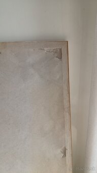 OBRAZ DIEVCA S PERLOVOU NAUSNICOU -IBA OSOBNY ODBER - 4