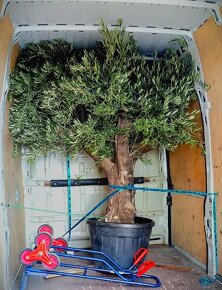 ✔️SŤAHOVANIE, VYPRATÁVANIE A PREPRAVA✔️ ŠAĽA A OKOLIE - 4