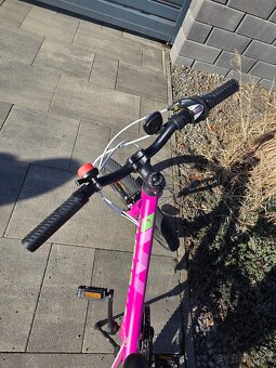 Bicykel Head 20" - 4