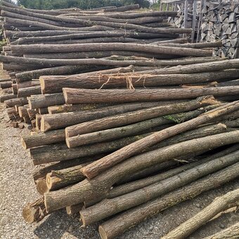 Agátové koly, stĺpy. - 4