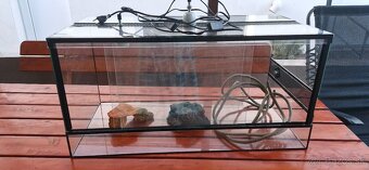 Terarium - 4