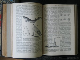 predam 100rocne madarske encyklopedie - 4
