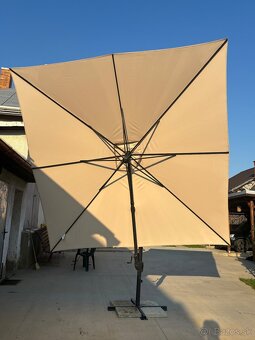 Slnečník - 4