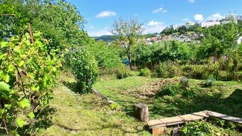 Záhrada v PB Jelšové - 4