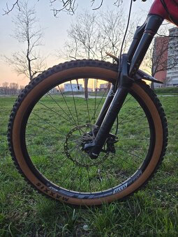 CTM Scroll Expert 2019 - 4