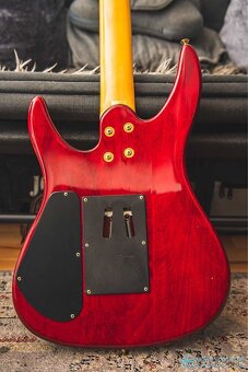 Dean DS92 Korea - 4