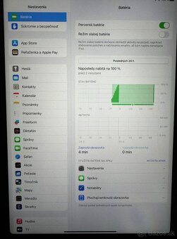 Apple iPad 11pro 256GB - 4