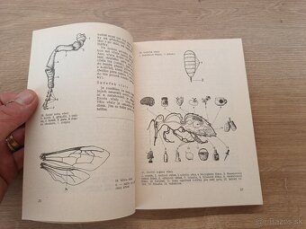 Učíme sa včelariť 1980 - 4