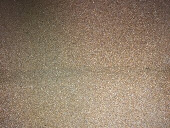 Predám kukuricu - 4