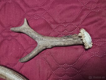 parohy parožie na výrobky rukoväť noža - 4