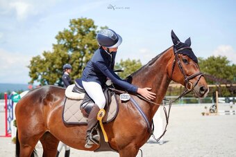 Nová cena nádherná 14r. kobyla na predaj - 4