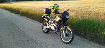 Honda Dominator 500 - 4