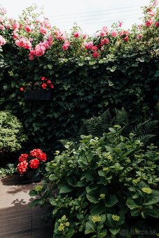 NOVOSTAVBA SAMOSTATNÝ DOM v lukratívnej lokalite pri Trnave - 4