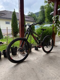 Bergamont - 4