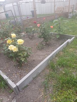 Pozemok s ovocnými stromami a so sarším rodinným domom - 4