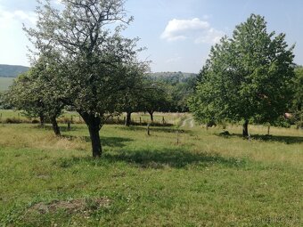 Pozemok - trvalý trávnatý porast - 4