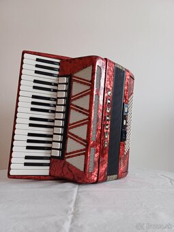 Akordeón Delicia - 4