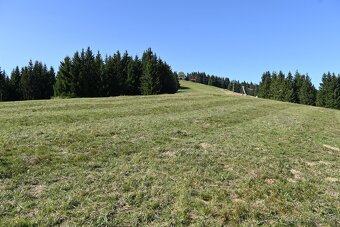 Predámpozemok na Málinom Brde - 4