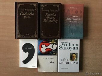 Tragáčik, Poe, Mitana, Pišťanek, Coelho, Salinger, Eco - 4