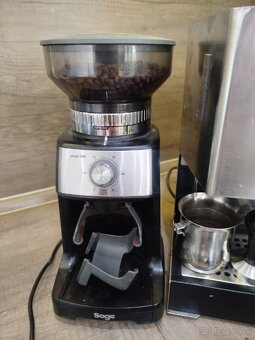 GAGGIA CLASIC +MLYNCEK SAGE - 4