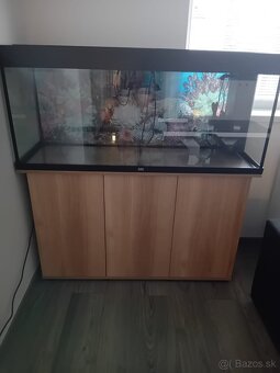 Akvárium 240l - 4