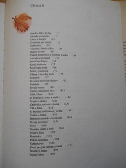 Knizky plne rozpravok - 4