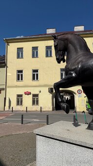 Dvojgeneračný RD v tichej časti Malá Ida, pozemok 1149 m2 - 4