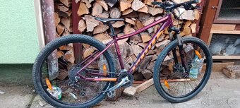 Scott scale 40 - 4