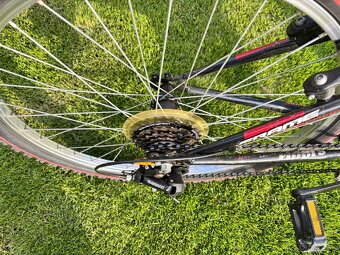 Bicykel CTM Willy 14 - 4