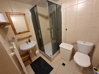 Dám do dlhodobého prenájmu jedno izbový byt - 4