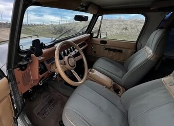 Jeep Wrangler 4.0 Sport Safari - 4