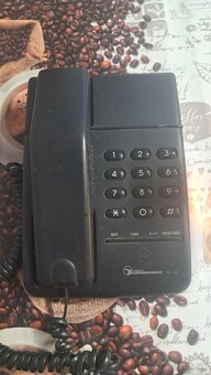 Stare pevne linky - 4