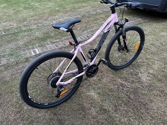 CTM Charisma 3.0 27.7 - 4