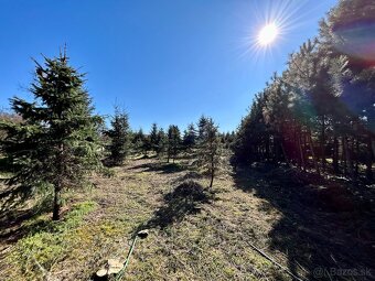 Na predaj | Stavebný pozemok 699 m² - Topoľnica - 4