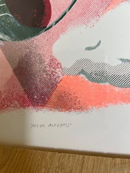 Aerial Acrobats biely – Lucia Žatkuliaková / risografika - 4