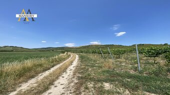 Na predaj vínny dom s vinicami a vínnymi pivnicami 13974 m2  - 4